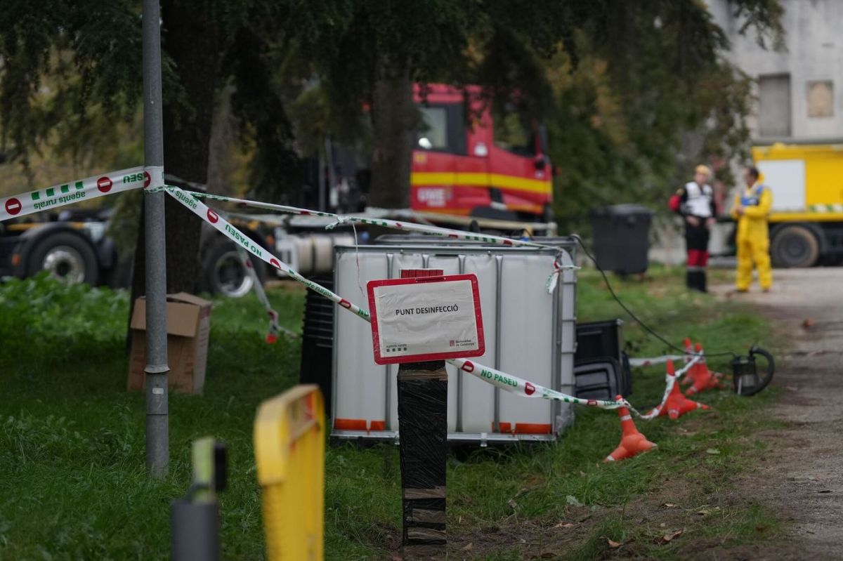 Peste porcine en Catalogne : l'UE réagit face à la crise
