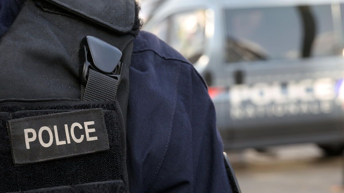 Drogue à domicile : un réseau de livraison démantelé à Fontainebleau