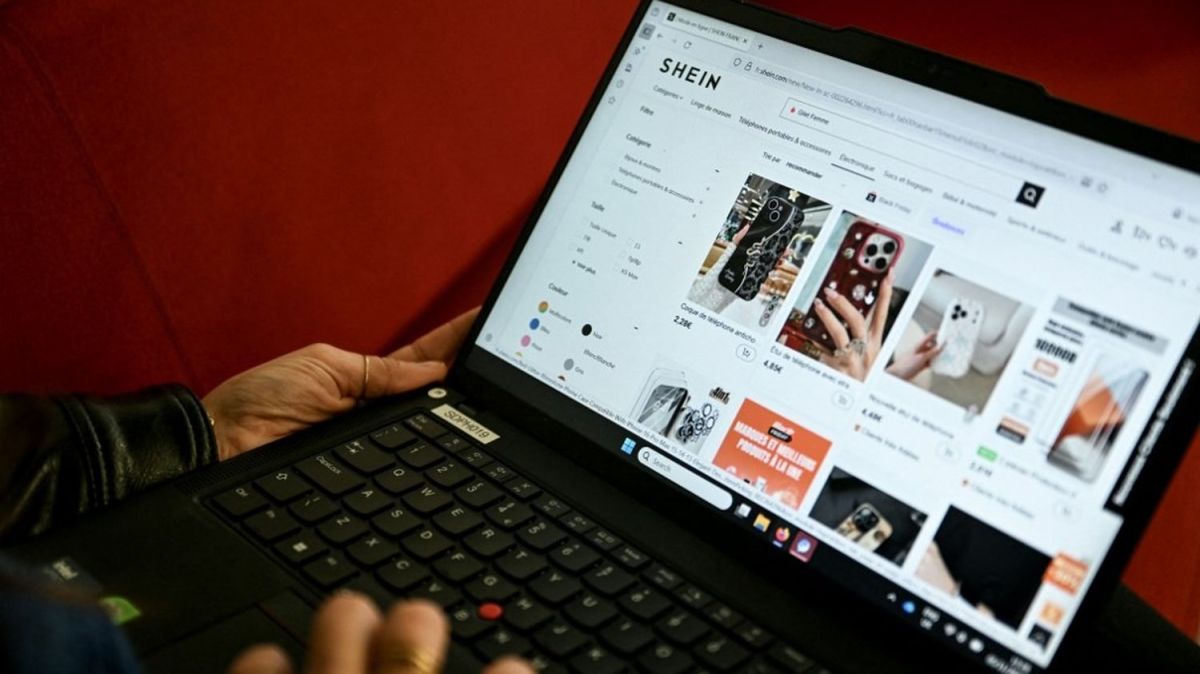Suspension de Shein : la justice face à la vente de poupées controversées