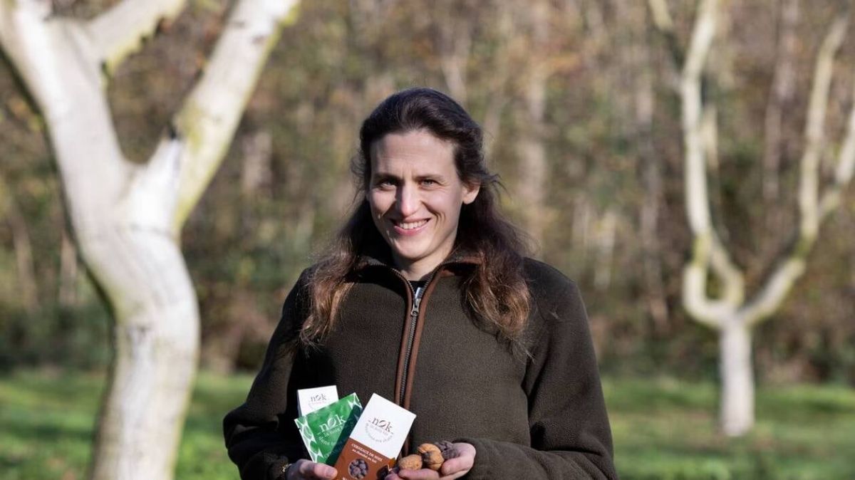 Les délices des noix nOk : un voyage gourmand entre la France et la Belgique