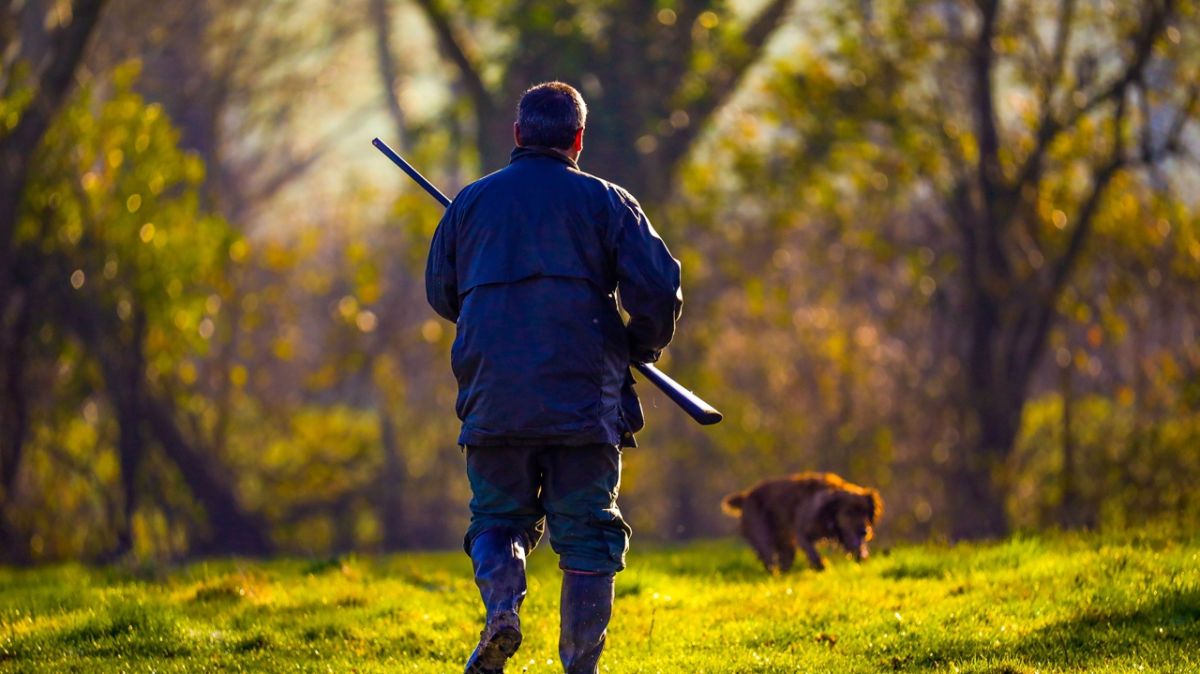 Incident de chasse à Saint-Maur : un chasseur placé en garde à vue