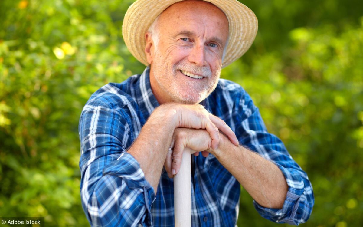 Les plantes idéales pour embellir un mur au nord