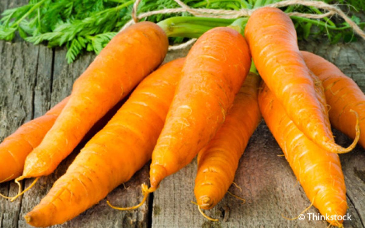 Cultivez des carottes colorées : vos secrets pour un potager florissant