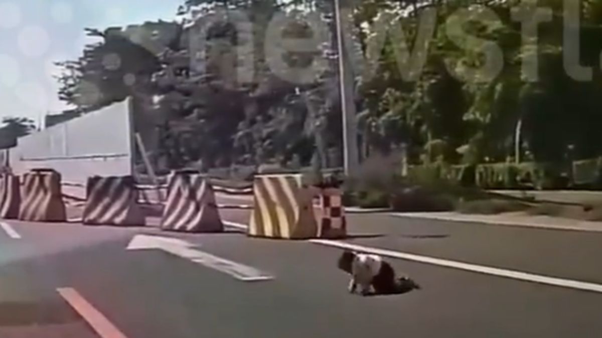 Un bébé en danger sur l'autoroute : enquête ouverte après sa découverte