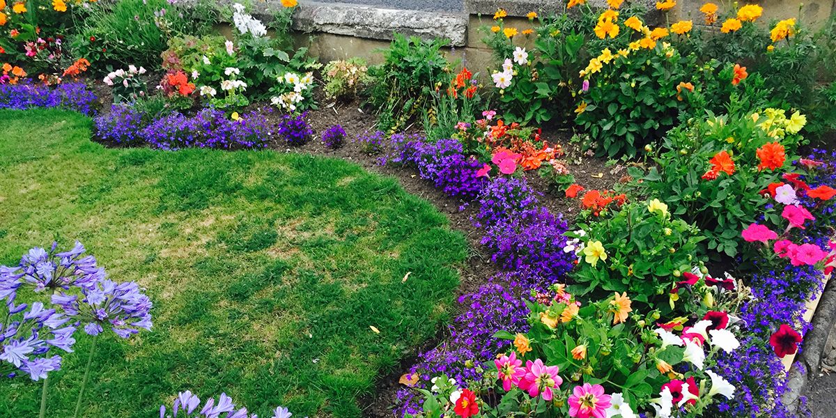 Association de Couleurs au Jardin : 7 Erreurs à Éviter