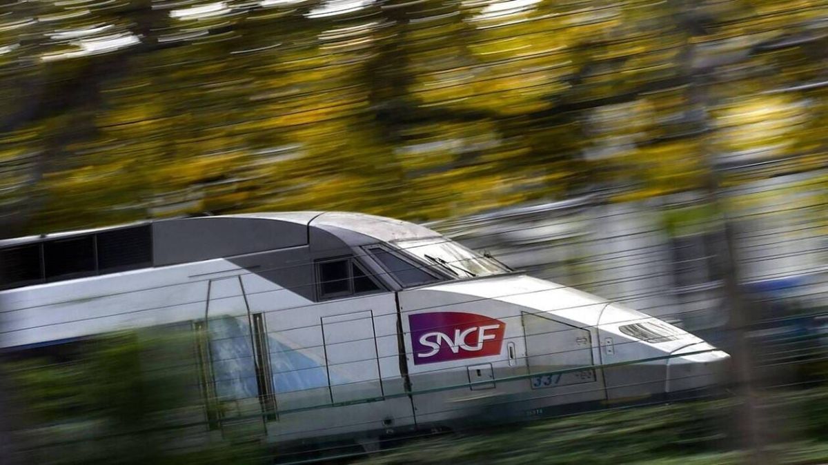 Violences inacceptables : une mère interpelle les passagers d’un TGV