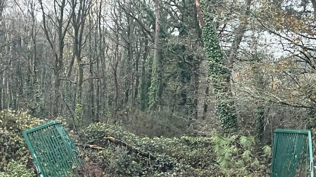 Un avenir solaire : la centrale photovoltaïque de Péaule prévue pour 2032