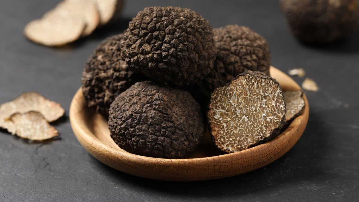 À la découverte des trésors souterrains : le monde fascinant des truffes