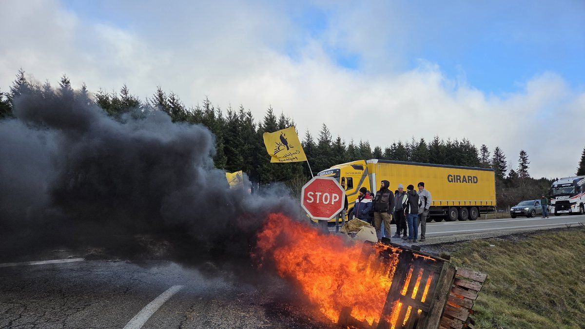 Agriculteurs en colère : blocage de la RN88 pour défendre leurs troupeaux