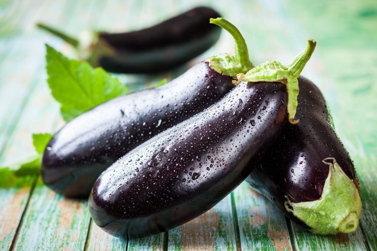 Les astuces pour conserver les aubergines