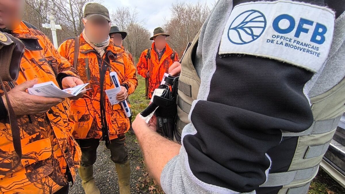 Chasse en forêt de l'Oise : la sécurité renforcée face aux accidents