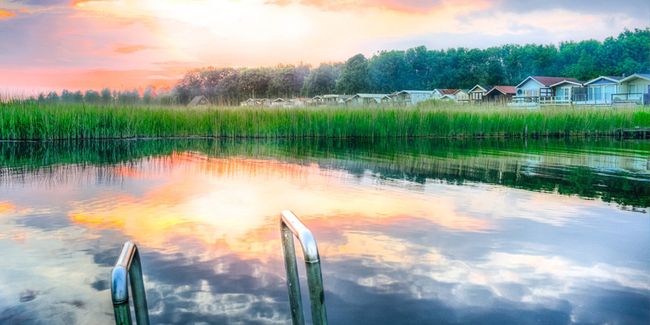 La piscine biologique : un écosystème de baignade naturel