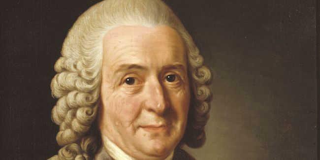 L'héritage de Carl von Linné dans la botanique