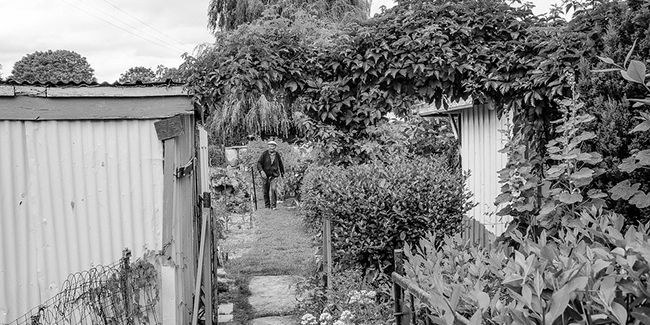 Les jardins ouvriers : un héritage florissant au cœur des villes