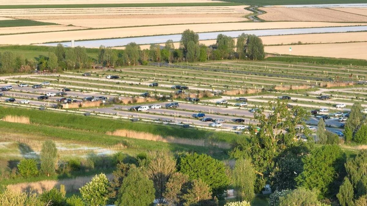 Des milliers d'arbres pour préserver le Mont-Saint-Michel