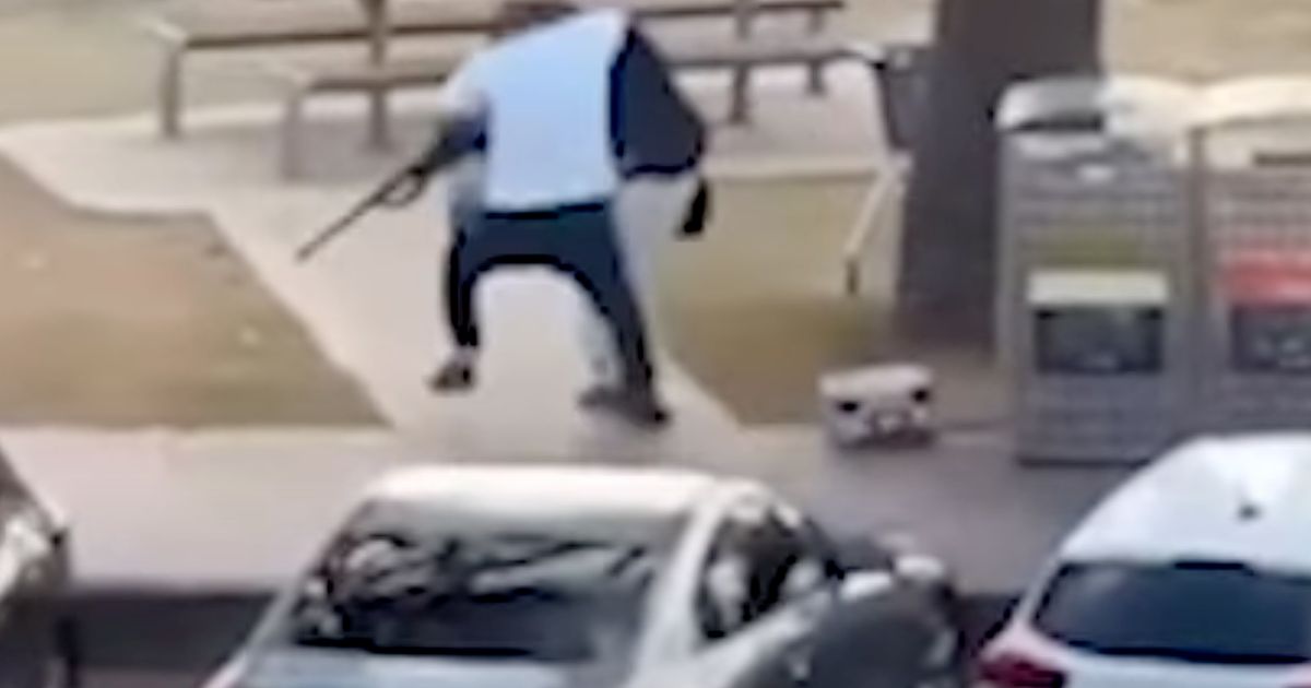 Le héros de Bondi Beach : un acte de bravoure d'un réfugié syrien