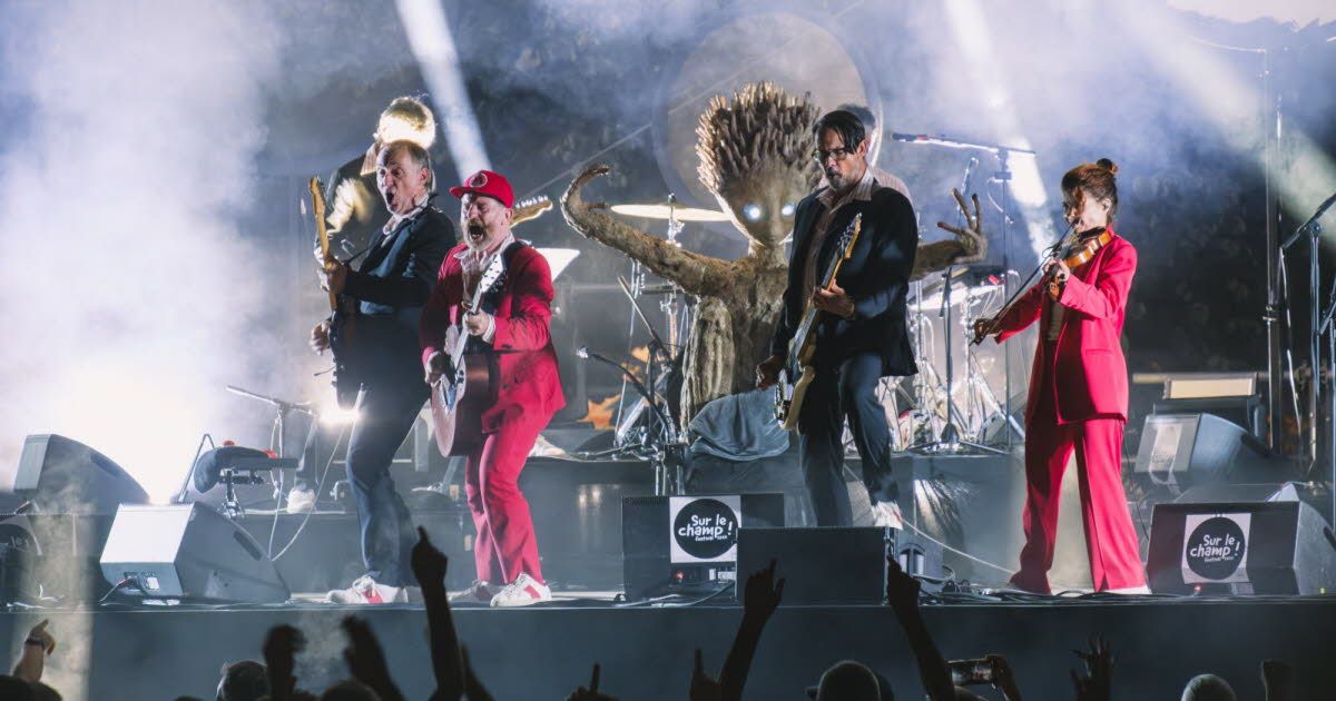 L'appel désespéré du guitariste de Dionysos après le vol de ses instruments