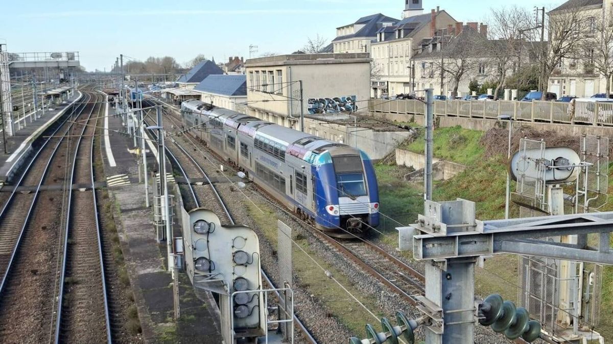 Drogues en Anjou : une enquête qui éclaire un trafic d’ampleur