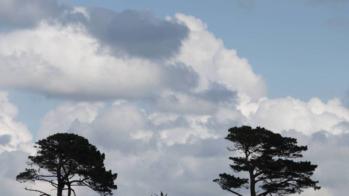 Météo à Falaise : un mercredi sous les nuages et le vent