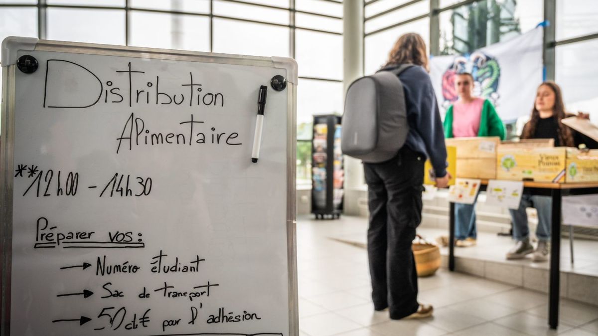 Lutte contre la précarité étudiante : Linkee face à des défis financiers alarmants