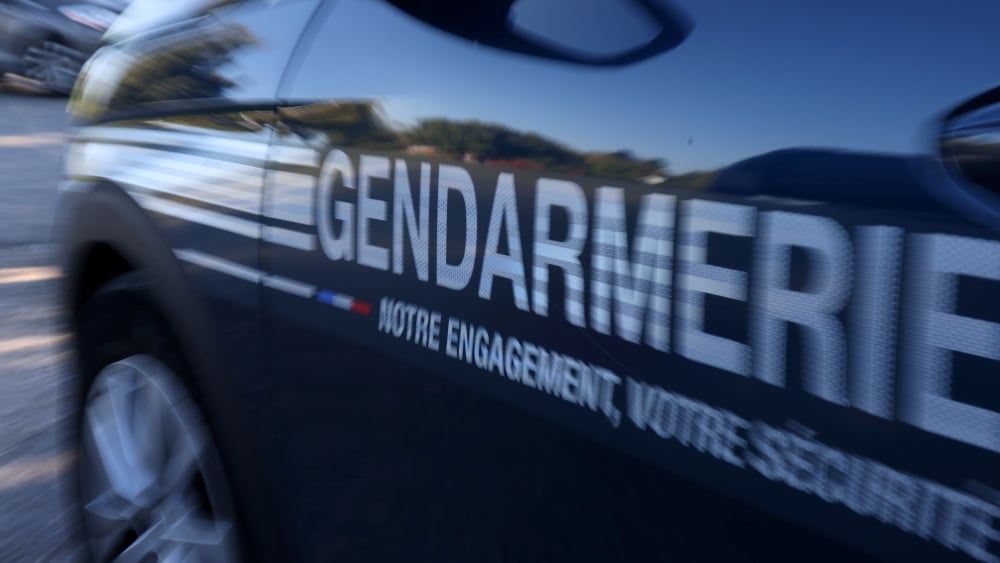 Une vente de chien tourne au cauchemar pour une habitante de L'Isle-sur-la-Sorgue