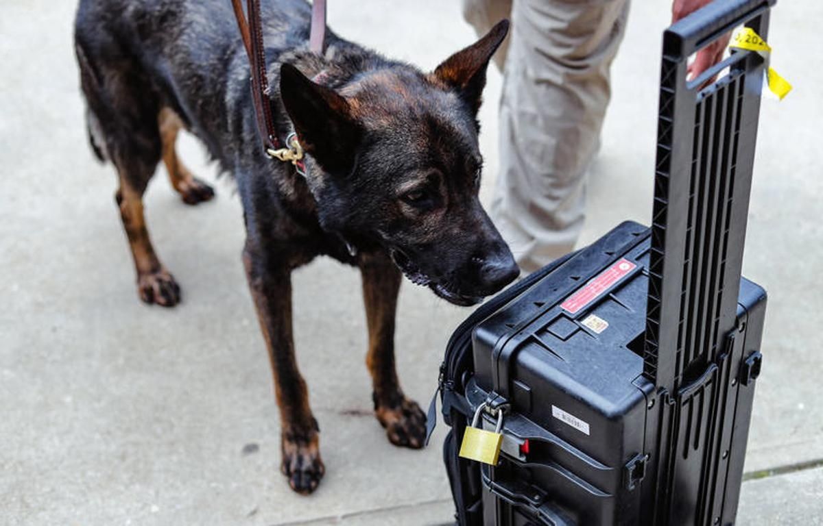 Deux Françaises confrontées à une peine sévère en Turquie pour trafic de cannabis