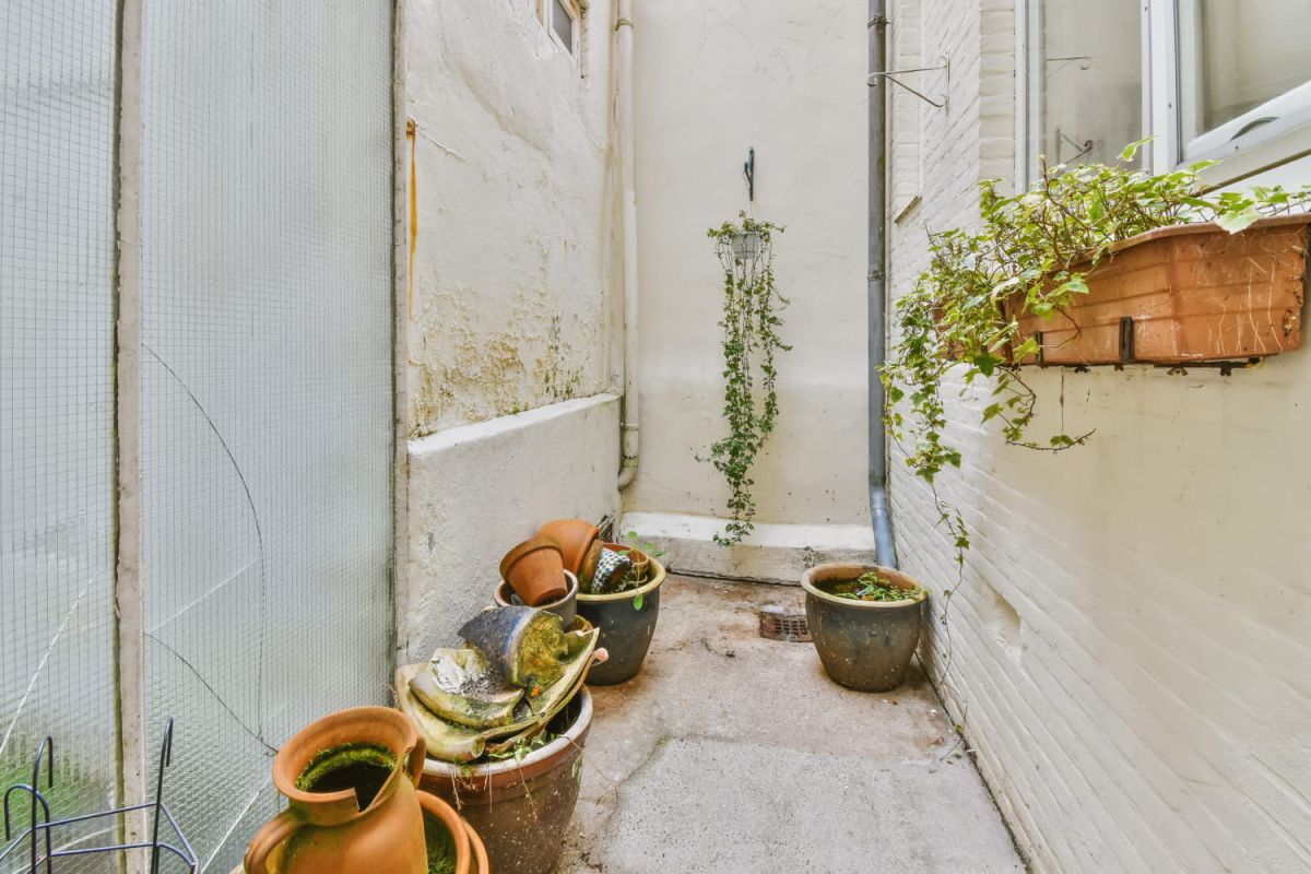 Découvrez l'art du jardin de poche