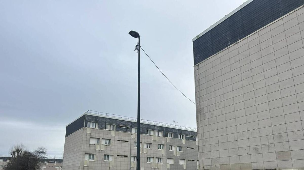 Un paysagiste raconte son accident tragique : entre espoir et combat