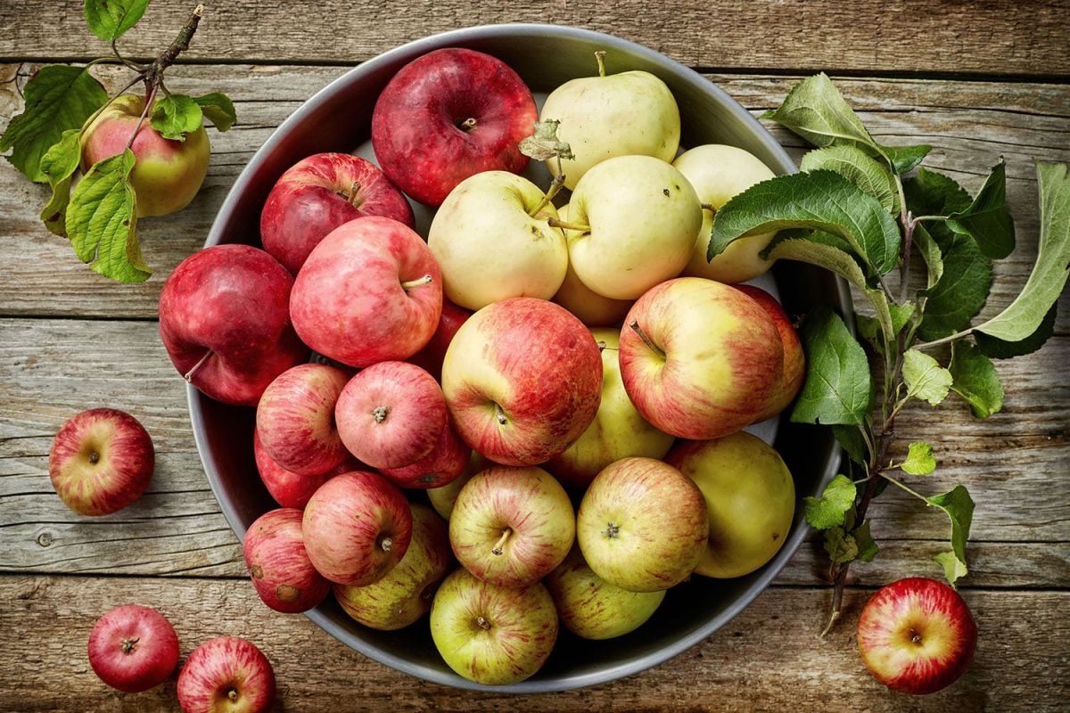 Les pommes : choisir la variété idéale selon vos recettes