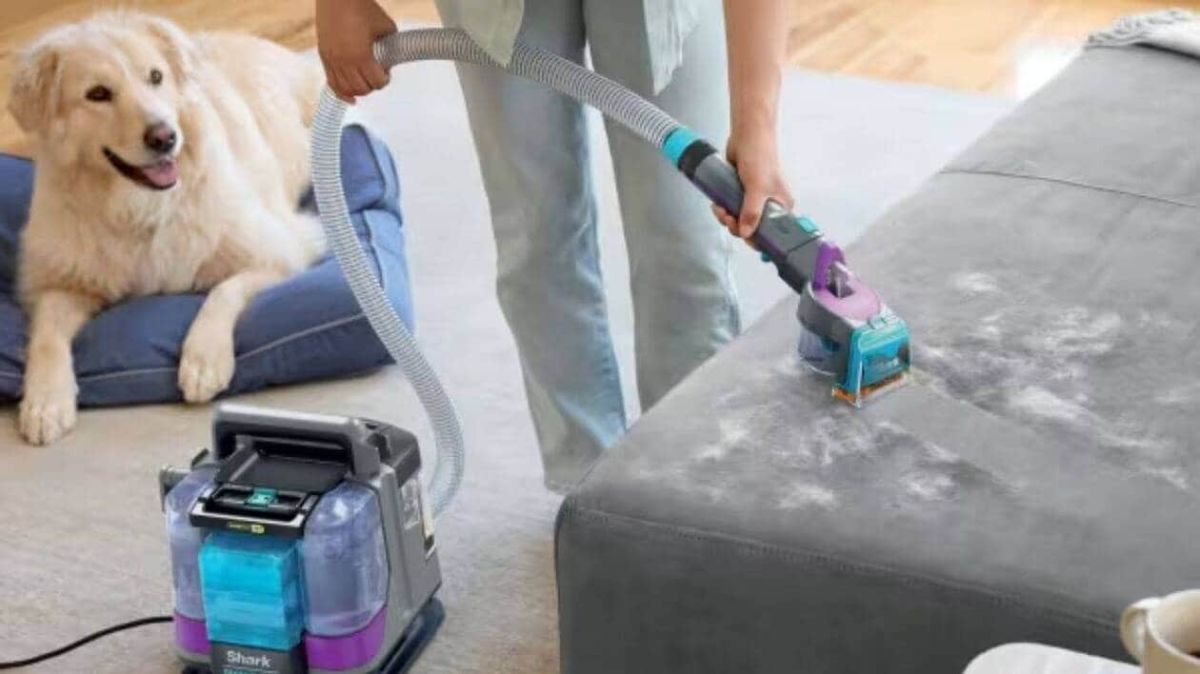 Le nettoyeur Shark idéal pour les propriétaires d'animaux à un prix imbattable