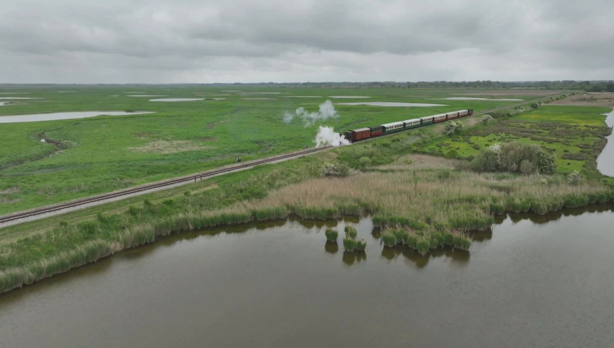 Voyage nostalgiques à travers la baie de Somme avec un train à vapeur