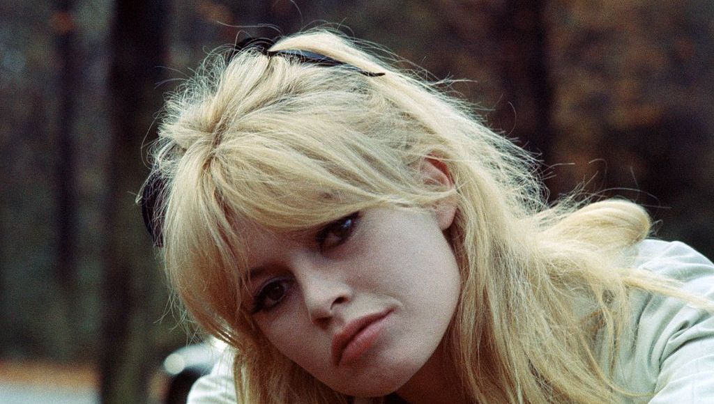 Brigitte Bardot : la légende du cinéma et son ultime acte de bonté
