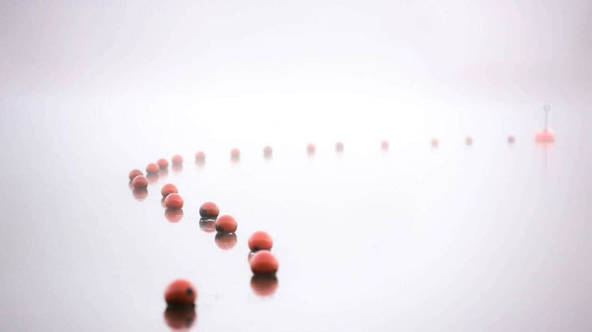 Un lundi matin brumeux à Avranches, mais le soleil s'impose