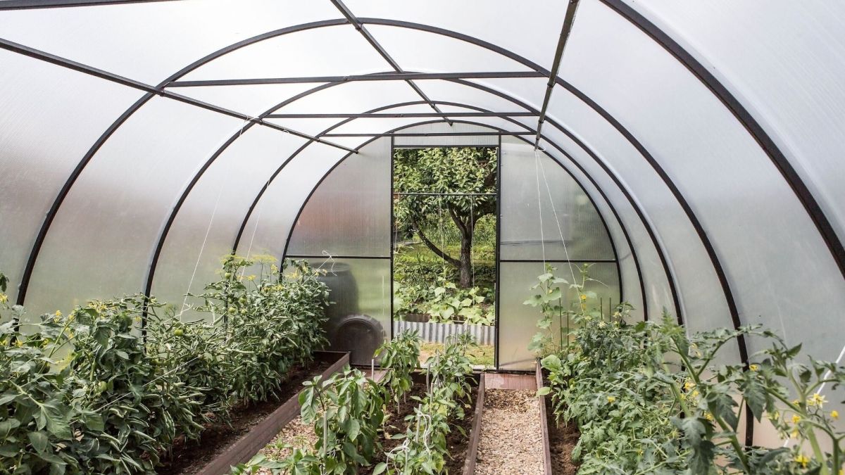 Installer une serre de jardin cet hiver : les démarches à suivre