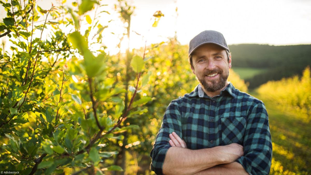 Les spécificités des retraites agricoles