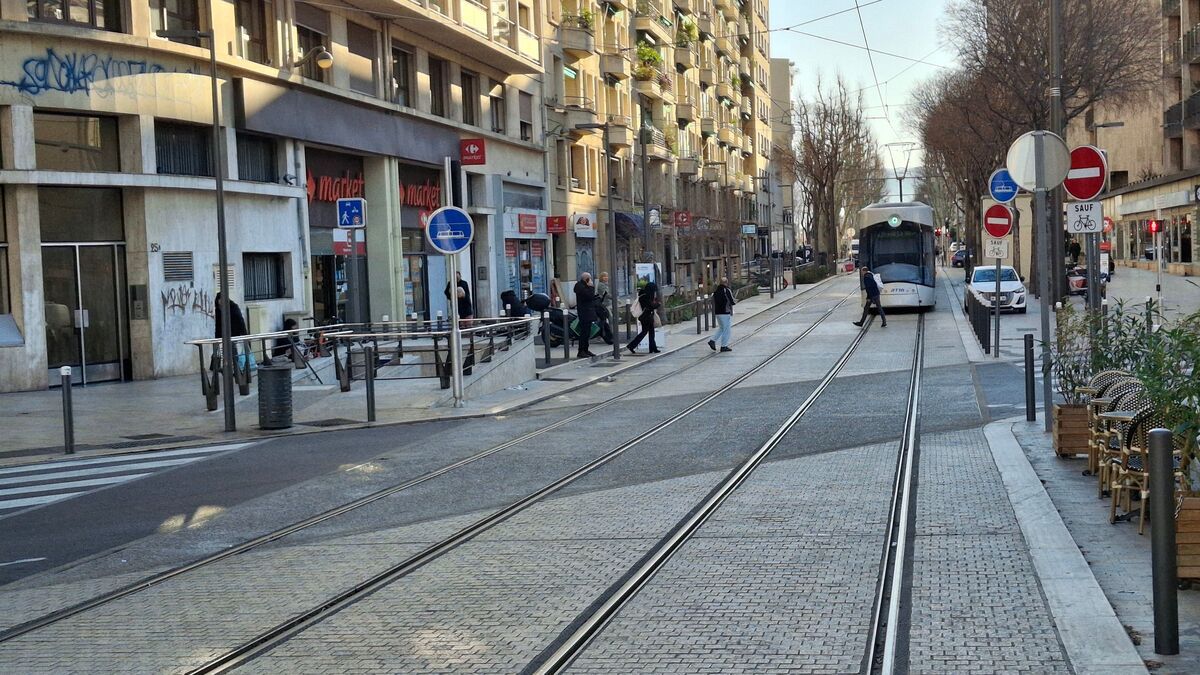 Marseille : un propriétaire condamné pour avoir loué une cave insalubre
