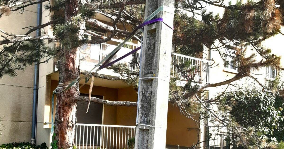 Le maire s'indigne face à un poteau EDF en péril à Le Péage-de-Roussillon