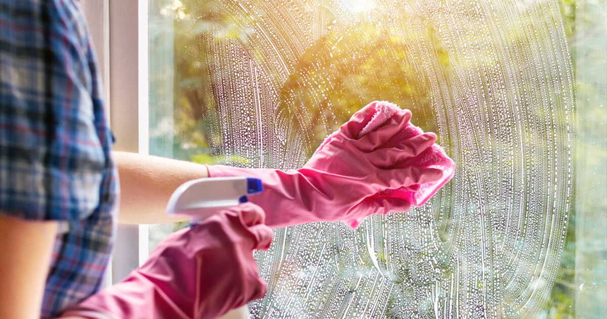 Comment nettoyer les fientes d'oiseaux sur les fenêtres ?