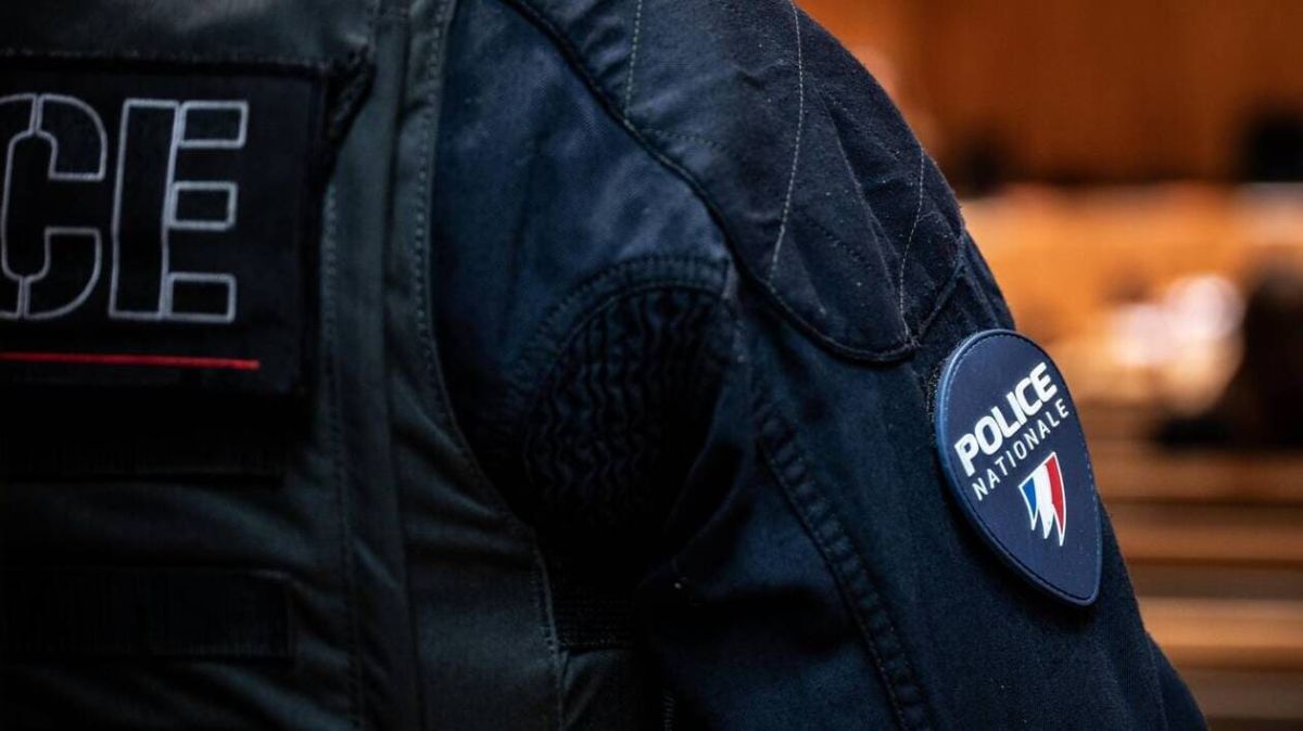 Une vidéo choc en Val-d’Oise : un policier frappe un homme au sol, une enquête en cours