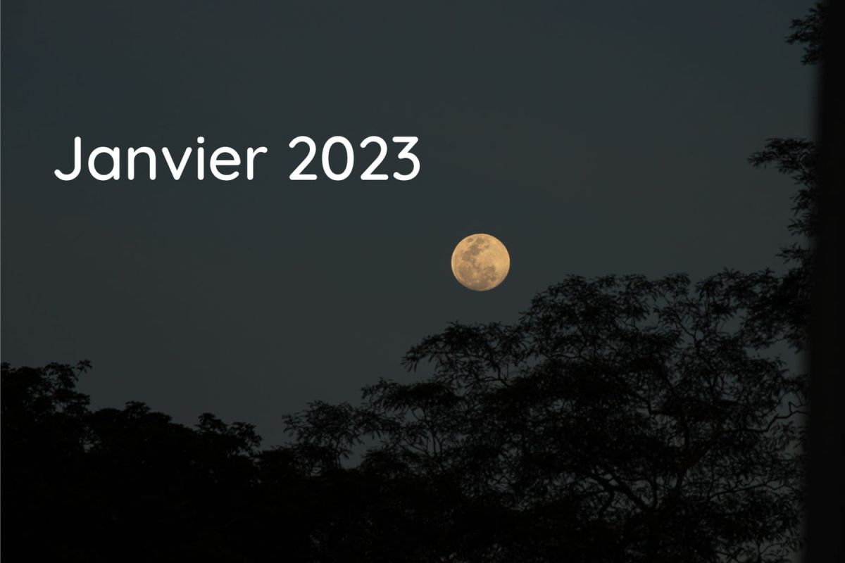 Le jardinage au rythme de la lune : calendrier de janvier 2023