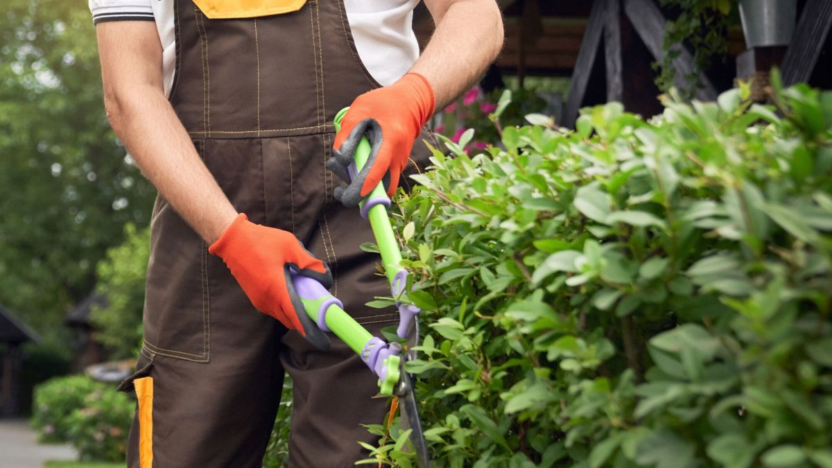 Les astuces pour bénéficier d'un crédit d'impôt pour vos travaux de jardinage