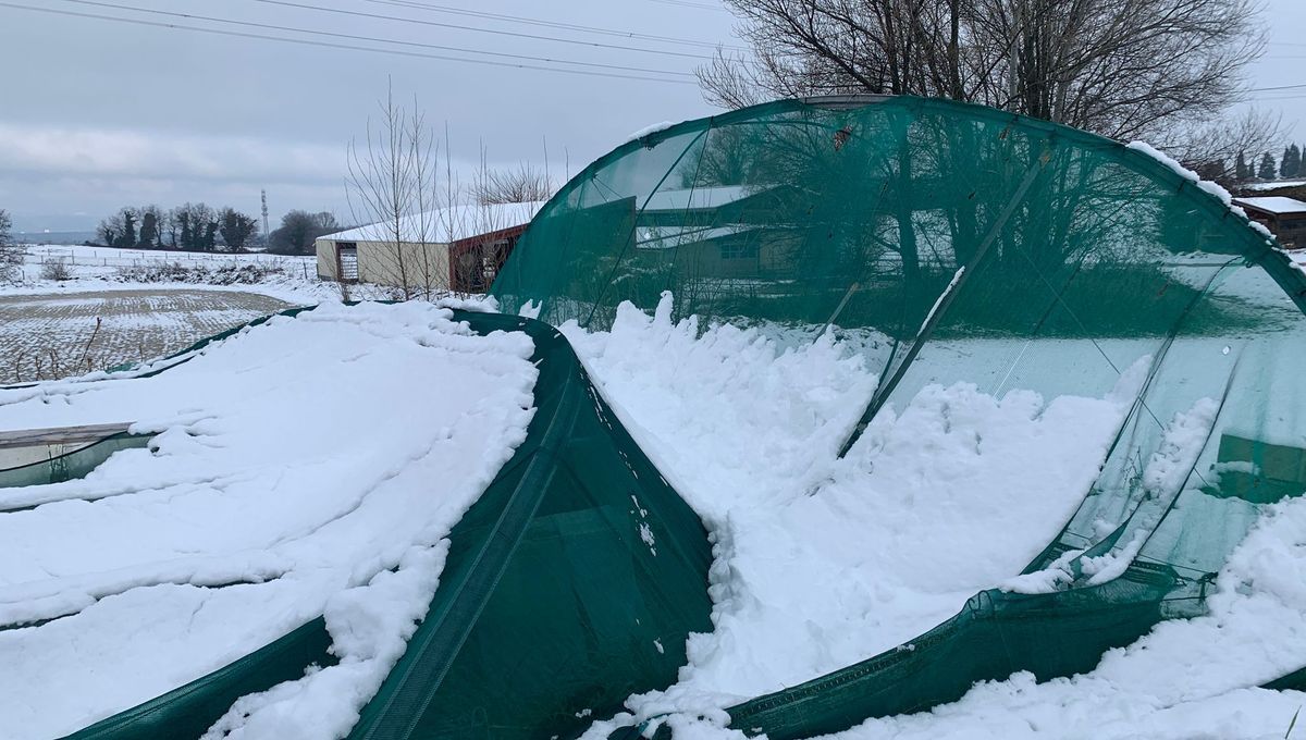 Une cagnotte pour relancer Les Escargots de Montvendre après un Noël tragique