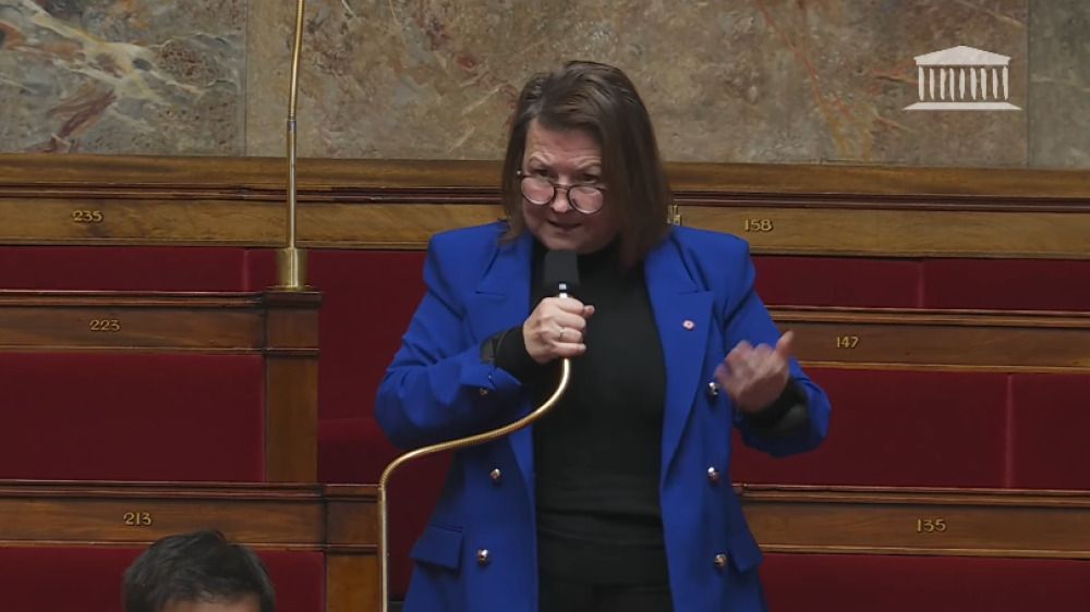Une députée RN victime d'une vidéo truquée : l'Assemblée nationale sous le choc
