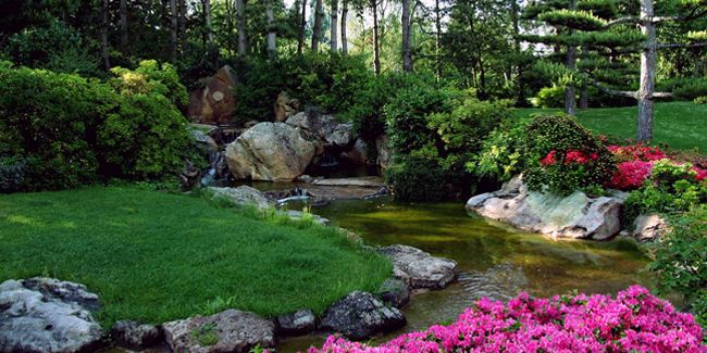 Le jardin japonais : un espace de sérénité