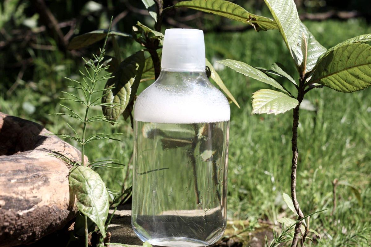 Le vinaigre blanc : un allié du jardin à manier avec précaution