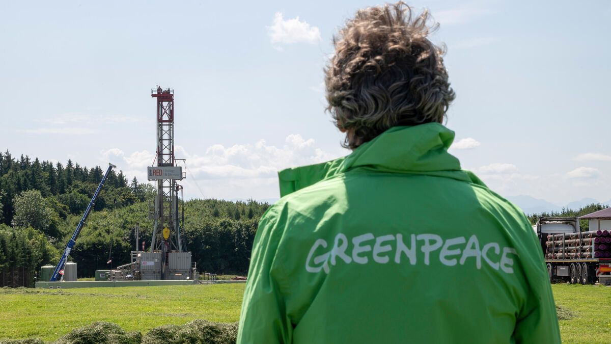 Greenpeace au bord du gouffre : les enjeux d'un verdict retentissant