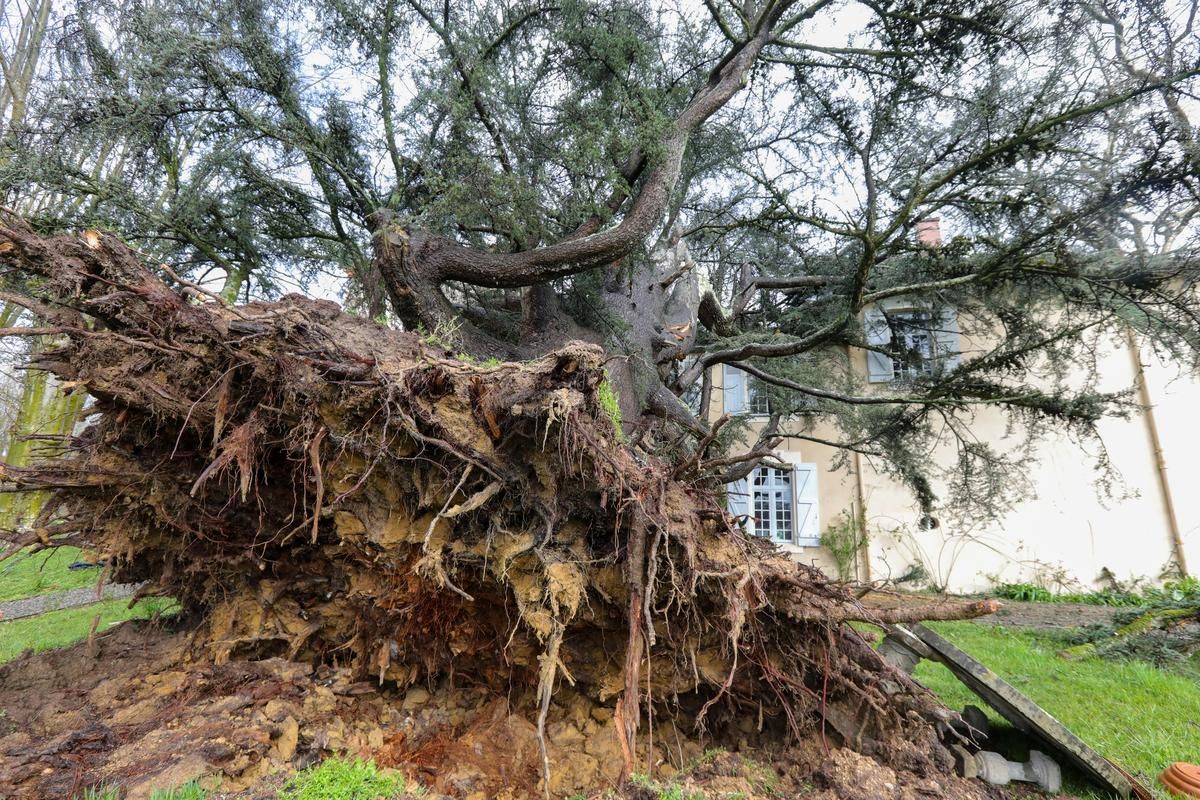 Le bilan des tempêtes Nils et Pedro : un coût de 1,2 milliard d'euros révélé