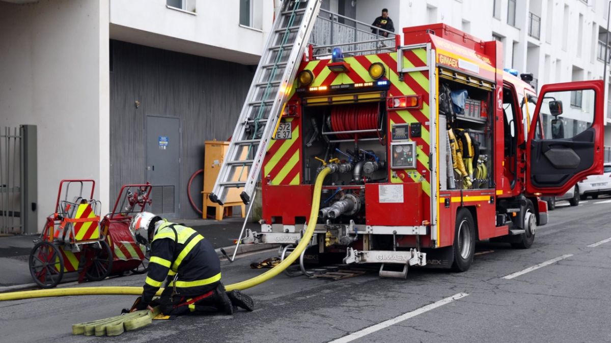 Un tragique incendie à Arras : un chat et deux chiens périssent