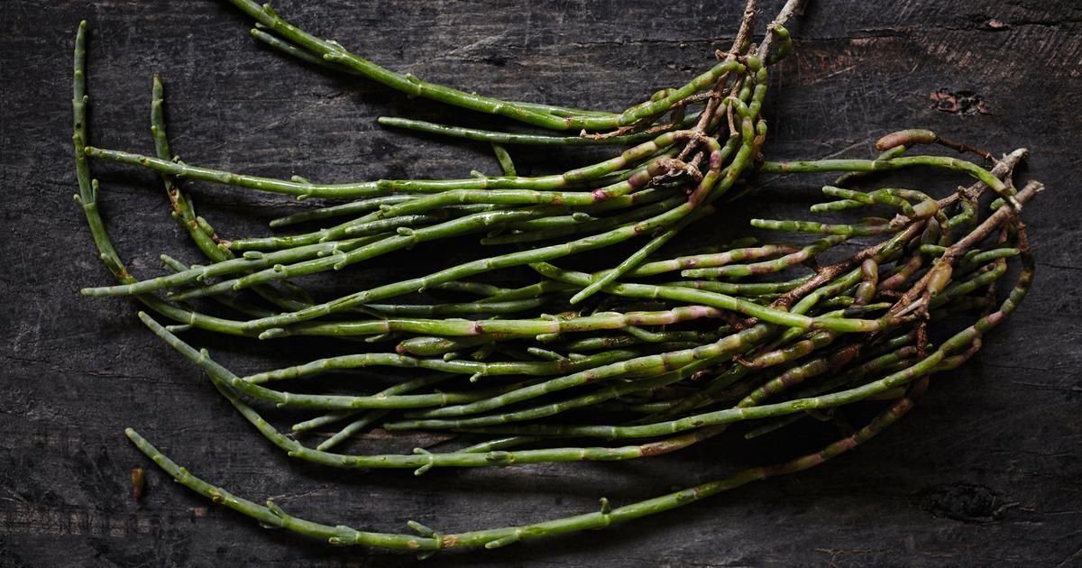 La salicorne : un trésor gustatif à savourer cet été