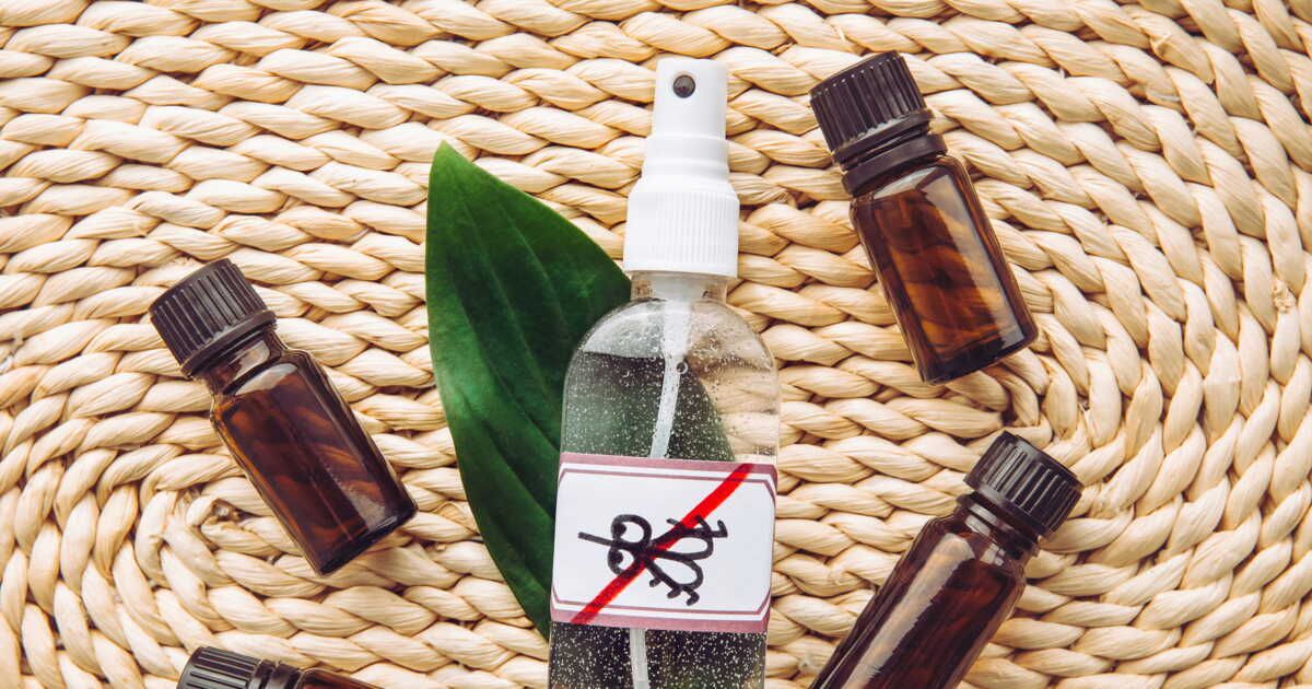 Des astuces infaillibles pour se débarrasser des moucherons